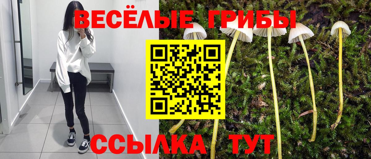 Галлюциногенные грибы MAGIC MUSHROOMS  Галлюциногенные грибы MAGIC MUSHROOMS  Вход с VPN  Норильск 
