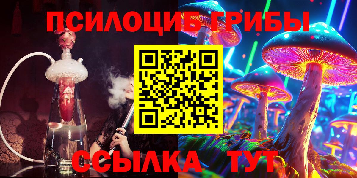 Галлюциногенные грибы Psilocybine cubensis Норильск